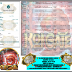SHIO88 JACKPOT PRAGMATIC SLOT “Koi Gate”‎‏‏‎‎                                           Rp22.000.000,- LUNAS